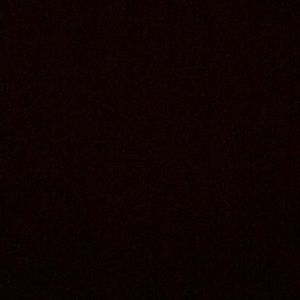 Meet your Posher, Isabella